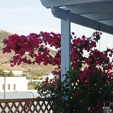 Nektarias 나오우사